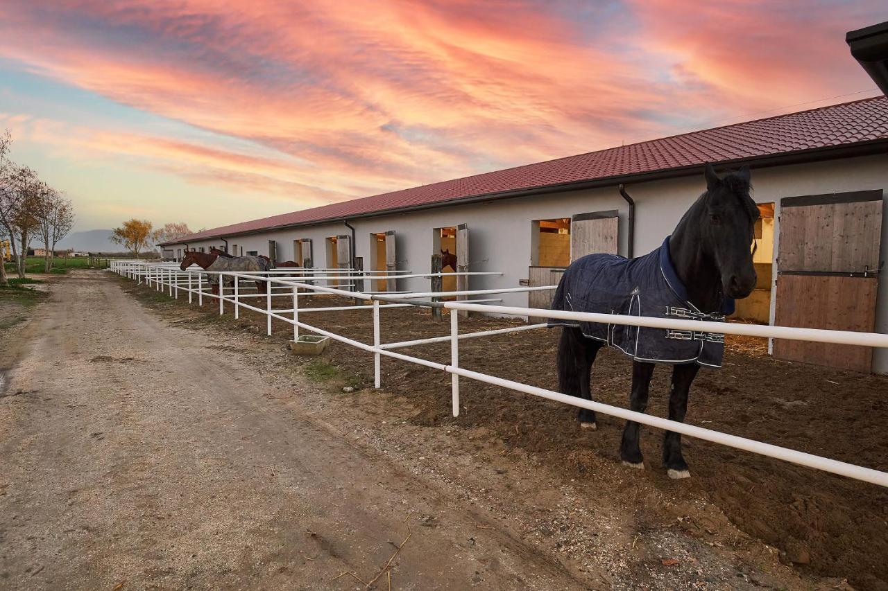 Brussa Horse Oasi Villa Caorle Buitenkant foto