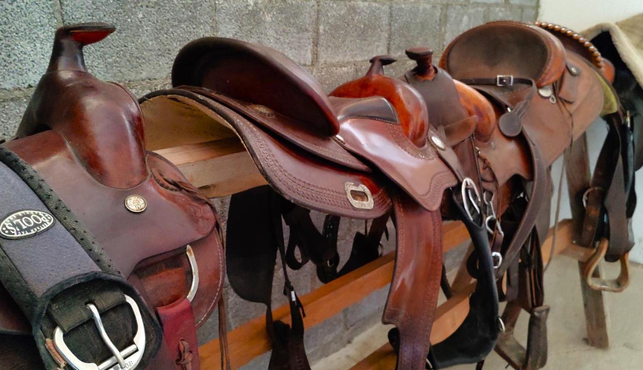 Brussa Horse Oasi Villa Caorle Buitenkant foto
